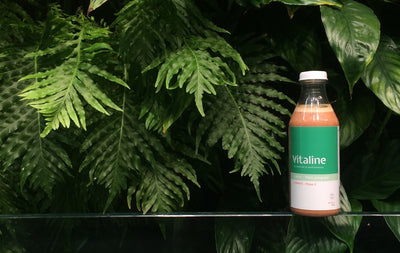 Vitaline devient vegan !